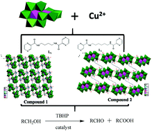 Graphical abstract: Evans–Showell-type polyoxometalate-based metal–organic complexes with novel 3D structures constructed from flexible bis-pyrazine–bis-amide ligands and copper metals: syntheses, structures, and fluorescence and catalytic properties