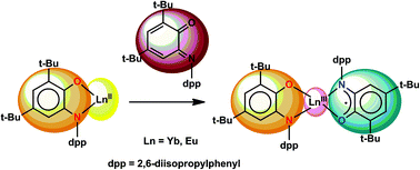 Graphical abstract: Europium and ytterbium complexes with o-iminoquinonato ligands: synthesis, structure, and magnetic behavior