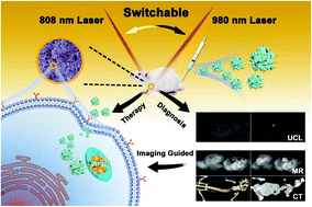 Graphical abstract: Switchable up-conversion luminescence bioimaging and targeted photothermal ablation in one core–shell-structured nanohybrid by alternating near-infrared light