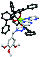 Graphical abstract: A robust Ti(iv)-based mesogen constructed around a TiO4N2 core