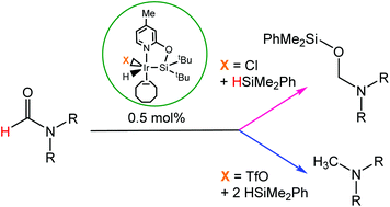 Graphical abstract: Selective reduction of formamides to O-silylated hemiaminals or methylamines with HSiMe2Ph catalyzed by iridium complexes