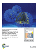 Graphical abstract: Inside back cover