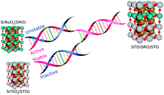 Graphical abstract: Activation of ultrathin SrTiO3 with subsurface SrRuO3 for the oxygen evolution reaction