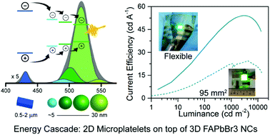 Graphical abstract: Self-assembled hierarchical nanostructured perovskites enable highly efficient LEDs via an energy cascade