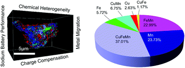 Graphical abstract: Empowering multicomponent cathode materials for sodium ion batteries by exploring three-dimensional compositional heterogeneities