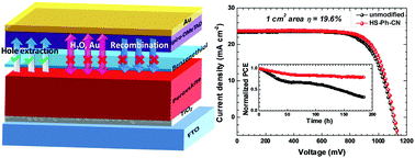 Graphical abstract: Interfacial benzenethiol modification facilitates charge transfer and improves stability of cm-sized metal halide perovskite solar cells with up to 20% efficiency