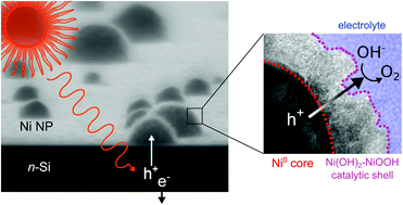 Graphical abstract: Elucidating the performance and unexpected stability of partially coated water-splitting silicon photoanodes