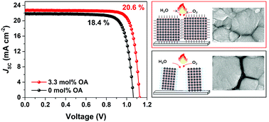 Graphical abstract: Structural features and their functions in surfactant-armoured methylammonium lead iodide perovskites for highly efficient and stable solar cells