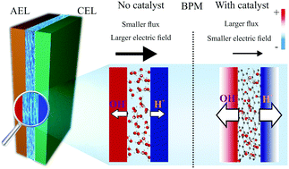 Graphical abstract: The balance of electric field and interfacial catalysis in promoting water dissociation in bipolar membranes