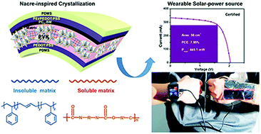 Graphical abstract: Nacre-inspired crystallization and elastic “brick-and-mortar” structure for a wearable perovskite solar module