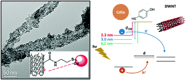 Graphical abstract: Metal chalcogenide quantum dot-sensitized 1D-based semiconducting heterostructures for optical-related applications