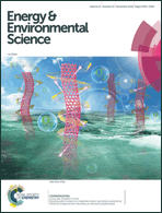 Graphical abstract: Front cover