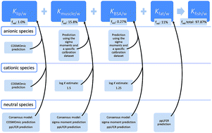 Graphical abstract: Screening tools for the bioconcentration potential of monovalent organic ions in fish