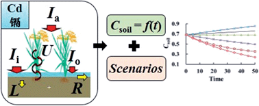 Graphical abstract: Modelling mass balance of cadmium in paddy soils under long term control scenarios