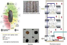 Graphical abstract: Mixed heavy metal removal from wastewater by using discarded mushroom-stick biochar: adsorption properties and mechanisms