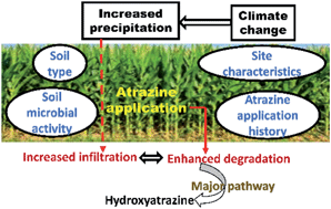Graphical abstract: Enhanced biodegradation of atrazine at high infiltration rates in agricultural soils