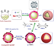 Graphical abstract: Core–shell magnetic metal–organic framework molecularly imprinted nanospheres for specific adsorption of tetrabromobisphenol A from water