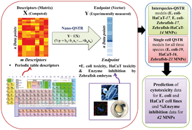 Graphical abstract: Second generation periodic table-based descriptors to encode toxicity of metal oxide nanoparticles to multiple species: QSTR modeling for exploration of toxicity mechanisms