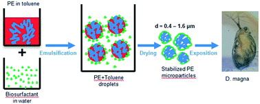 Graphical abstract: Towards more realistic reference microplastics and nanoplastics: preparation of polyethylene micro/nanoparticles with a biosurfactant