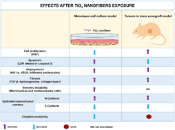 Graphical abstract: Titanium dioxide nanofibers induce angiogenic markers and genomic instability in lung cells leading to a highly dedifferentiated and fibrotic tumor formation in a xenograft model