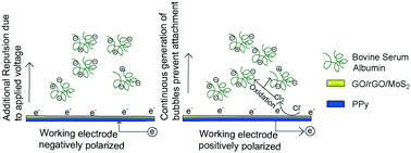 Graphical abstract: Application of external voltage for fouling mitigation from graphene oxide, reduced graphene oxide and molybdenum disulfide functionalized surfaces