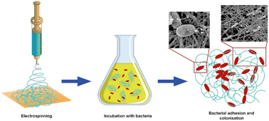 Graphical abstract: A study on the dependence of bacteria adhesion on the polymer nanofibre diameter