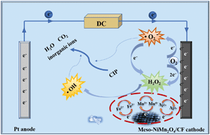 Graphical abstract: Evaluation of ciprofloxacin destruction between ordered mesoporous and bulk NiMn2O4/CF cathode: efficient mineralization in a heterogeneous electro-Fenton-like process