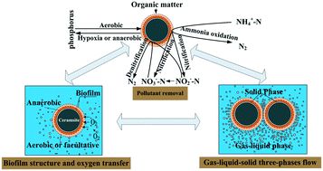 Graphical abstract: Effect of aeration rates on hydraulic characteristics and pollutant removal in an up-flow biological aerated filter