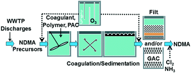 Graphical abstract: Behavior of NDMA precursors at 21 full-scale water treatment facilities