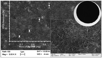 Graphical abstract: Green synthesis of nanoscale anion exchange resin for sustainable water purification