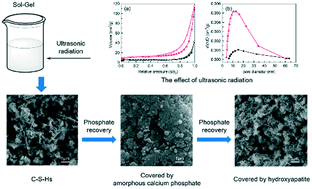 Graphical abstract: Phosphate recovery from wastewater using calcium silicate hydrate (C-S-H): sonochemical synthesis and properties