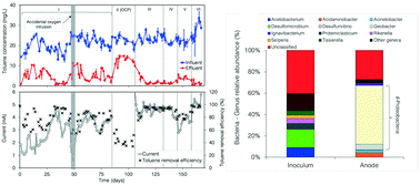 Graphical abstract: Anaerobic electrogenic oxidation of toluene in a continuous-flow bioelectrochemical reactor: process performance, microbial community analysis, and biodegradation pathways