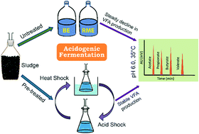 Graphical abstract: Enhancing the volatile fatty acid production from agro-industrial waste streams through sludge pretreatment