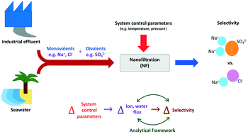 Graphical abstract: A framework to analyze sulfate versus chloride selectivity in nanofiltration