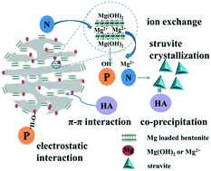 Graphical abstract: Simultaneous recovery of phosphate, ammonium and humic acid from wastewater using a biochar supported Mg(OH)2/bentonite composite