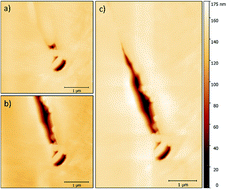 Graphical abstract: A study of dynamic nanoscale corrosion initiation events using HS-AFM