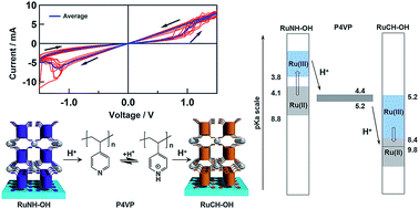 Graphical abstract: Bio-inspired protonic memristor devices based on metal complexes with proton-coupled electron transfer