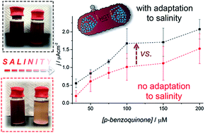 Graphical abstract: Tuning purple bacteria salt-tolerance for photobioelectrochemical systems in saline environments
