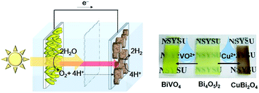 Graphical abstract: A tandem photoelectrochemical water splitting cell consisting of CuBi2O4 and BiVO4 synthesized from a single Bi4O5I2 nanosheet template