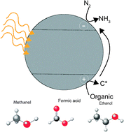 Graphical abstract: Influence of carbonaceous species on aqueous photo-catalytic nitrogen fixation by titania