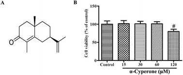 Graphical abstract: α-Cyperone inhibits LPS-induced inflammation in BV-2 cells through activation of Akt/Nrf2/HO-1 and suppression of the NF-κB pathway