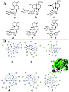 Graphical abstract: Hepatoprotective activity of iridoids, seco-iridoids and analog glycosides from Gentianaceae on HepG2 cells via CYP3A4 induction and mitochondrial pathway