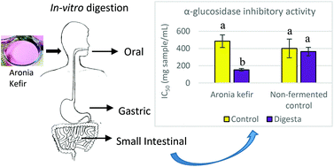 Graphical abstract: Fermentation alters the bioaccessible phenolic compounds and increases the alpha-glucosidase inhibitory effects of aronia juice in a dairy matrix following in vitro digestion