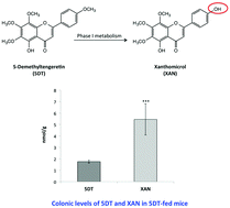 Graphical abstract: Anti-inflammatory effect of xanthomicrol, a major colonic metabolite of 5-demethyltangeretin