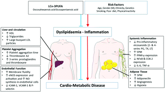 Graphical abstract: Science behind the cardio-metabolic benefits of omega-3 polyunsaturated fatty acids: biochemical effects vs. clinical outcomes