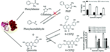 Graphical abstract: A comparison of mutagenic PhIP and beneficial 8-C-(E-phenylethenyl)quercetin and 6-C-(E-phenylethenyl)quercetin formation under microwave and conventional heating