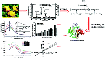 Graphical abstract: Structural characterization of a novel acidic polysaccharide from Rosa roxburghii Tratt fruit and its α-glucosidase inhibitory activity