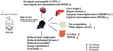 Graphical abstract: The anti-obesity effect of starch in a whole grain-like structural form