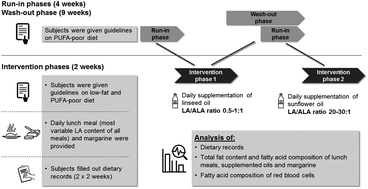 Graphical abstract: Effects of a low and a high dietary LA/ALA ratio on long-chain PUFA concentrations in red blood cells