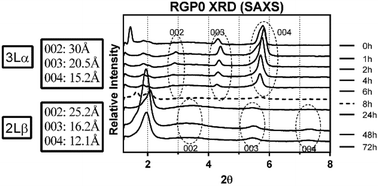 Graphical abstract: Influence of thermal processing on the phase behavior of a novel acylglyceride-alkylglyceride lipid-based delivery system